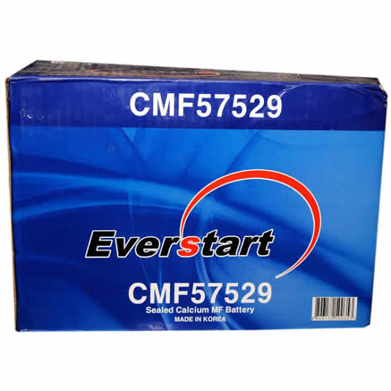 EVERSTART BATTERY 100AH